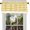 Yellow, variant on Buffalo Check Valance Window Curtains - 58 Inch Width, 14 Inch Length - Yellow & White Plaid - Light Filtering Farmhouse Country Drapes for Bedroom Living & Dining Room by Achim Home Décor