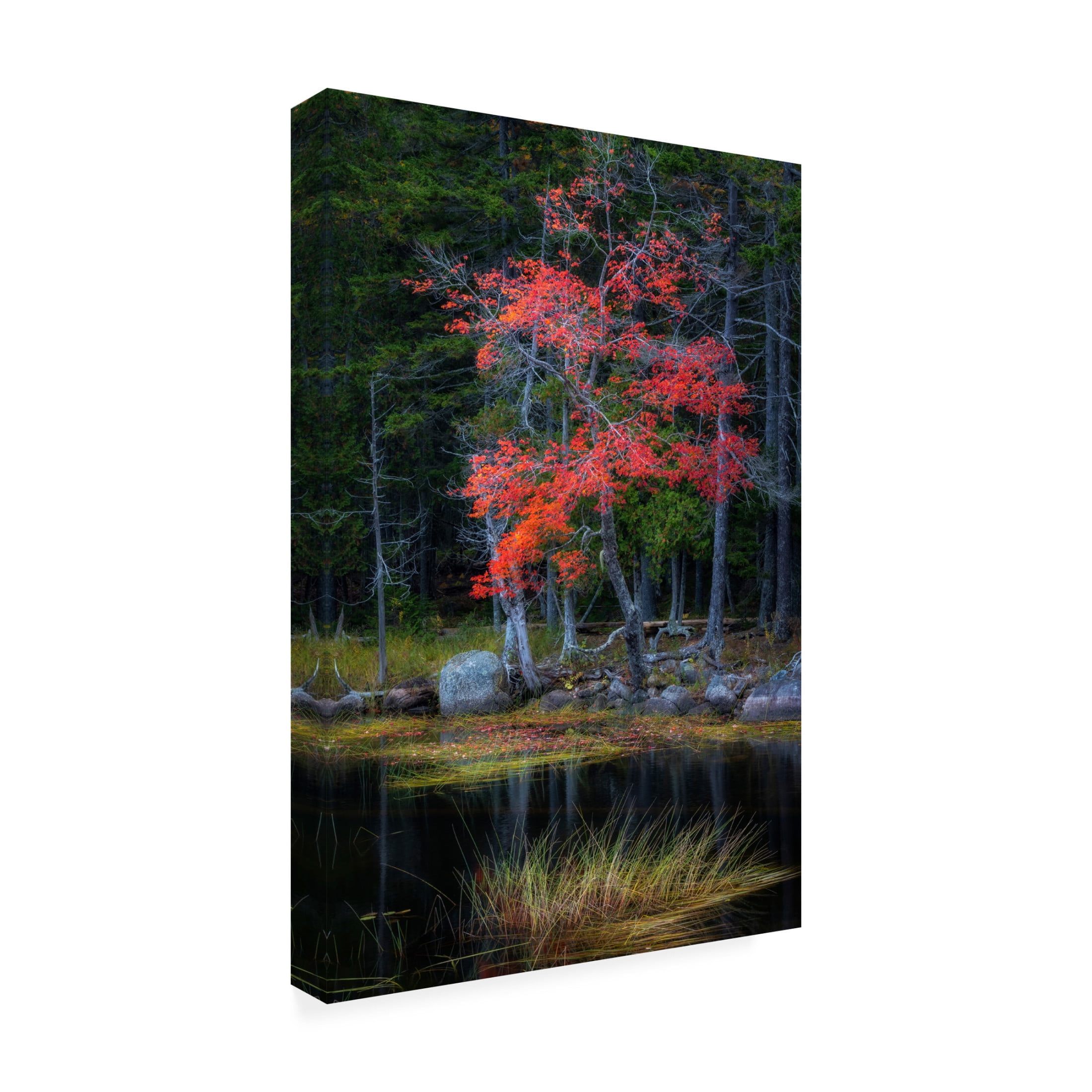 Canvas Wall Art - Danny Head 'Red Reflections I' Wall Art for Living Room, Bedroom, or Office Décor by Trademark Fine Art - 12 x 19 Inches