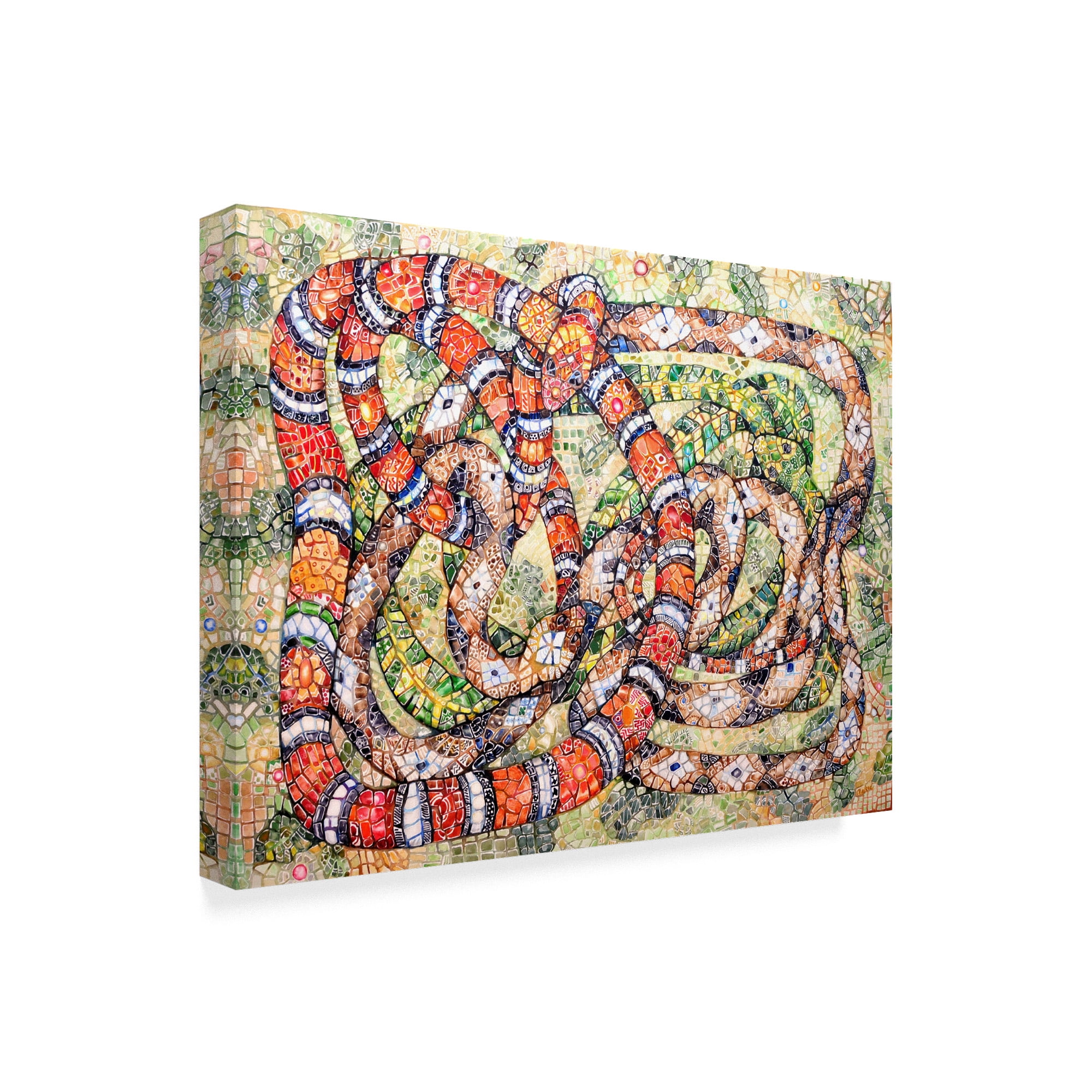 Trademark Fine Art 'Coral Snake Ouroboros' Canvas Art by Charlsie Kelly