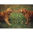 thumbnail image 3 of Dog Toy for Aggressive Chewers, Durable Prey Dog Chew Toy【CA】, 3 of 4