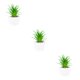 thumbnail image 5 of Plantas artificiales Inteprter suculentas bonsai maceta flores falsas hogar jardín dormitorio sala de estar tipo 2, 5 of 6