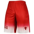 thumbnail image 2 of Men's Fanatics Red Chicago Bulls Fadeaway Shorts, 2 of 3