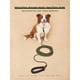 thumbnail image 4 of Pet Training Rope, Lightweight Leash For Outdoor Walking And Preventing Escape, 4 of 4