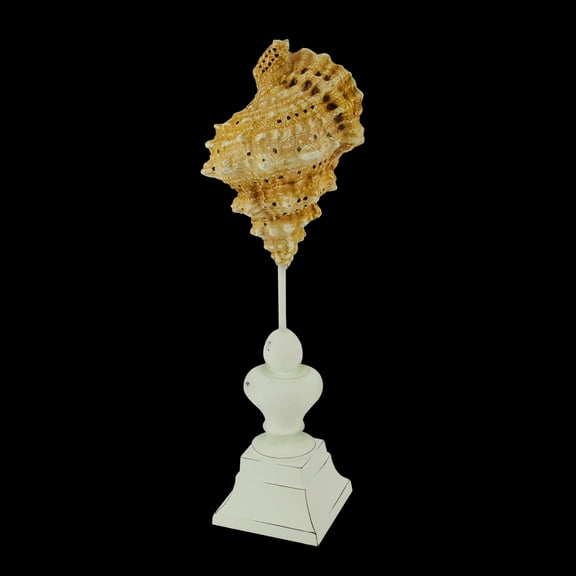 Gallerie II 14" Beach Inspired Brown and Cream Seaside Seashell on Pedestal Finial Decoration