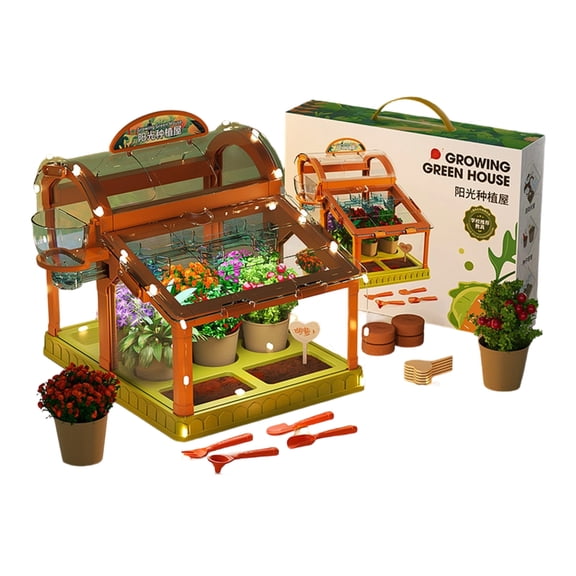 Kids Planting Set With LED Lighting Clear Acrylic Small Greenhouse For Home Gardening