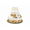 Natural Brushstrokes 2 Tier Cake