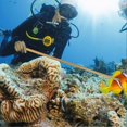 thumbnail image 2 of (Golden)Scuba Diving Aluminum Alloy Tickle Pointer Stick with Measurement & Lanyard, 2 of 4