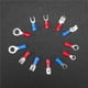 thumbnail image 3 of Terminales De Cables Eléctricos Para Automóviles, Conectores De Crimpado Aislados, Juego De Palas, Terminal De Conexión De Prensa En Frío, Combinación De Manga De Tubo Termorretráctil 678 Piezas Speravity TO003792-00, 3 of 7