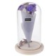 thumbnail image 2 of Romantic con Cubierta de para Terrario Micro Landscape - Morado, Individual Púrpura BLESIY terrario de cristal de la planta de la flor, 2 of 8