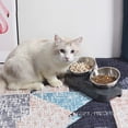 thumbnail image 5 of Cuenco elevado para gatos, plato de acero inoxidable para gatos para comida, agua, antivómitos, elevado, inclinado, 15°, 5 of 5