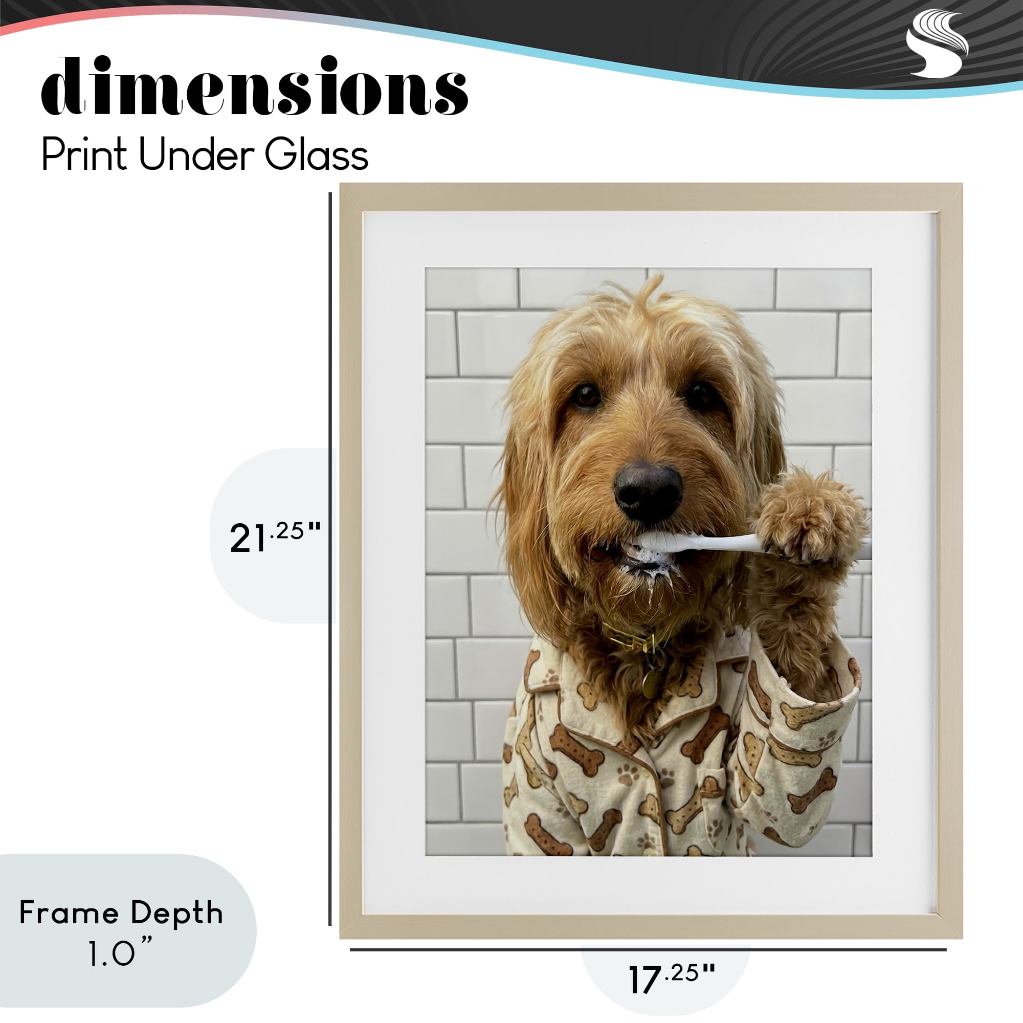 Stupell Industries Realistic Dog Brushing Teeth Birch Framed Print Under Glass, design by Abigail Walker