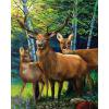 thumbnail image 1 of Cuadros Decorativos Kit de pintura al óleo de animales de madera por número pintura acrílica DIY arte de pared imagen artesanal JShteea Nuevos Originales, 1 of 7
