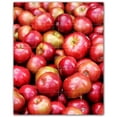 thumbnail image 1 of Picture-Tiles.com: Fruit Ceramic Tile Wall Mural WAL500691-45S. 17"W x 21.25"H using (20) 4.25" x 4.25" Ceramic Tiles-Satin Finish, 1 of 3