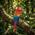 thumbnail image 4 of Patio Wall Decorations Outdoor 10 Inch Blue Parrot Figurine Hanging Bird Wall Decor for Patio Tropical Outdoor Decor Wall Art for Home Decor 1 Pack, 4 of 7