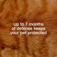 thumbnail image 4 of Adams Plus Flea & Tick Collar for Cats Water-Resistant Up to 7 Months Protection 3PCK, 4 of 9