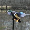 thumbnail image 4 of MOJO Outdoors Elite Series Woody Hunting Duck Decoy with Support Pole (4 Pack), 4 of 5