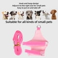 thumbnail image 3 of Adjustable Soft Comfortable Cute Ferret Harness Leash With D Ring, Small Animals Vest Harness For Ferrets, Rats, Guinea Pigs, 3 of 8