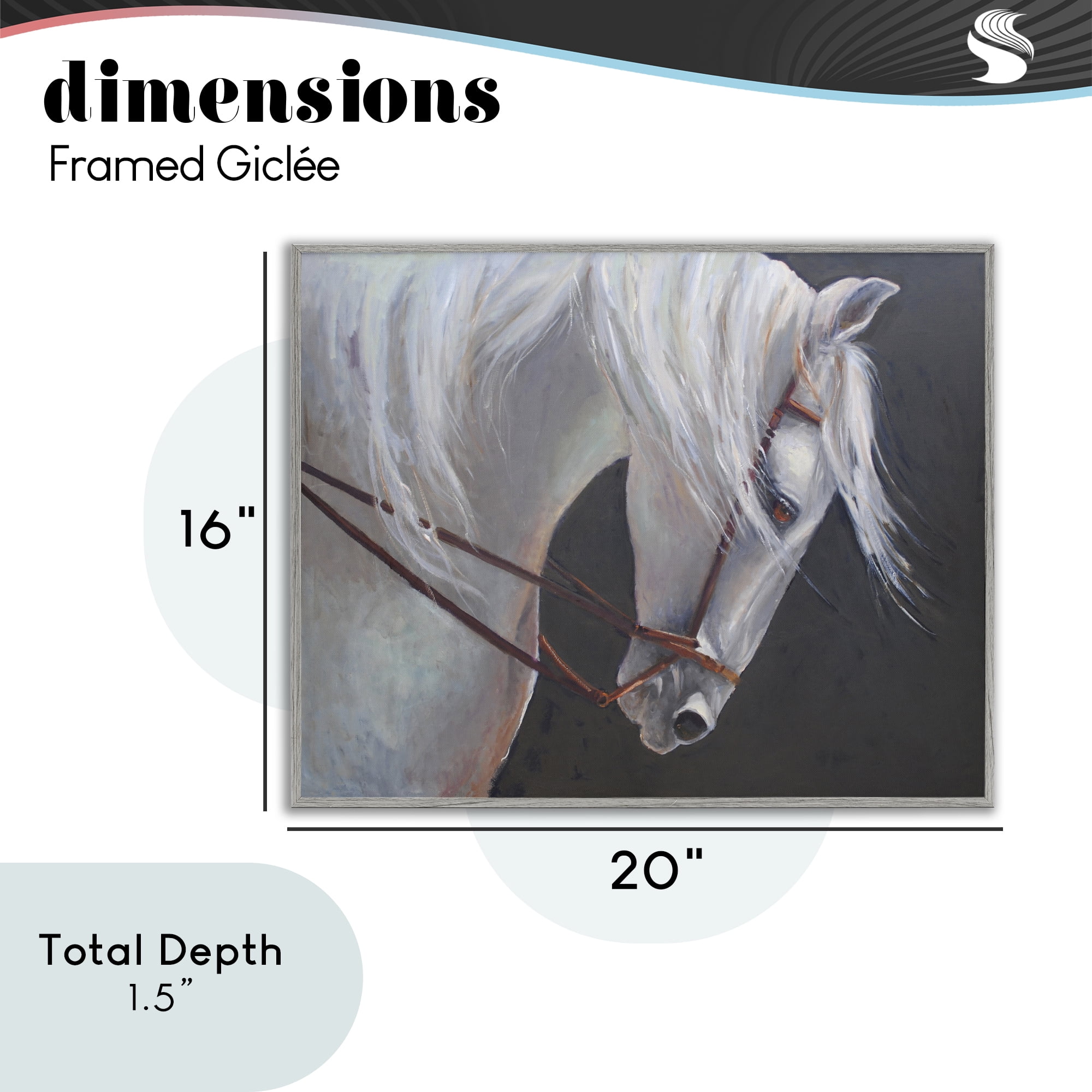 Stupell Industries Majestic White Mare Gray Framed Giclee Art, design by Jadei Graphics