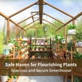 thumbnail image 5 of MUCHANT 6x10 FT Wooden Greenhouse for Outdoors, Walk-in Large Green House with Quick Setup Structure and Roof Vent for Garden Backyard, 5 of 7