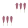 thumbnail image 2 of mmirethe 3x Space With Downy And Durable Artificial Pampas Reed Boho Decor Cloth Artificial Flower Pampas Reed Decor Pinkish Purple 2Set, 2 of 6