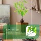 thumbnail image 5 of GOOHOCHY 2pcs pared colgante verde planta artificial naranja flor vid ratán decoración, 5 of 7