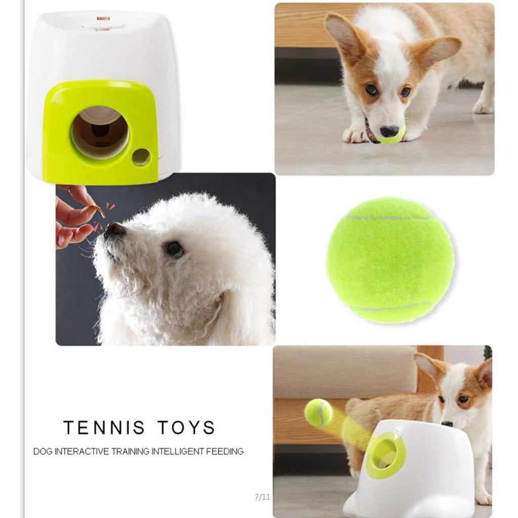 Ball Launcher for Dogs, Automatic Dog Ball Launcher, Interactive Dog Ball Thrower Toy with Ball for Small Medium Breeds, Indoor Outdoor Use, Green