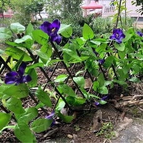 Privacy Fence, Expandable Lattice Fence, Artificial Flower Leaf Screening, Garden Edging Border Decorative, Fence Screen Garden Panels for Patio Backyard Outdoor Decor(Purple)