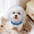 thumbnail image 2 of Pet Cat Head Net, Breathable Mesh Head Cover Protector for Small Dog Cat, Anti-Scavenging Muzzle Elastic Net with Quick Release Buckle for Walking,Blue - 1pc, 2 of 6