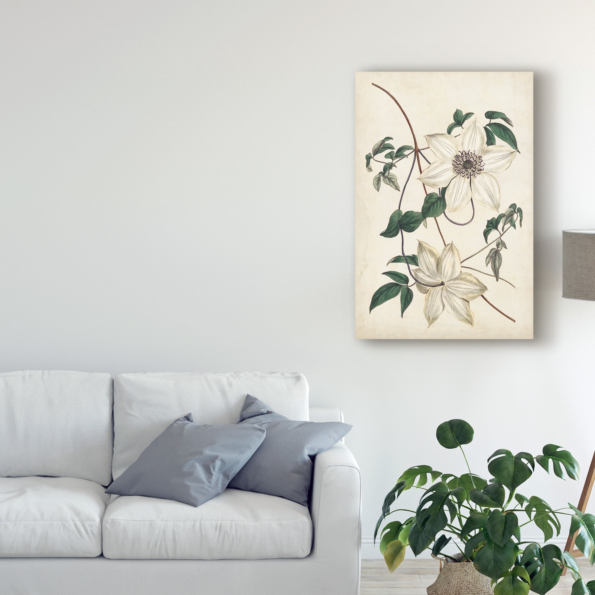 Trademark Fine Art 'Ivory Garden II' Canvas Art by Curtis
