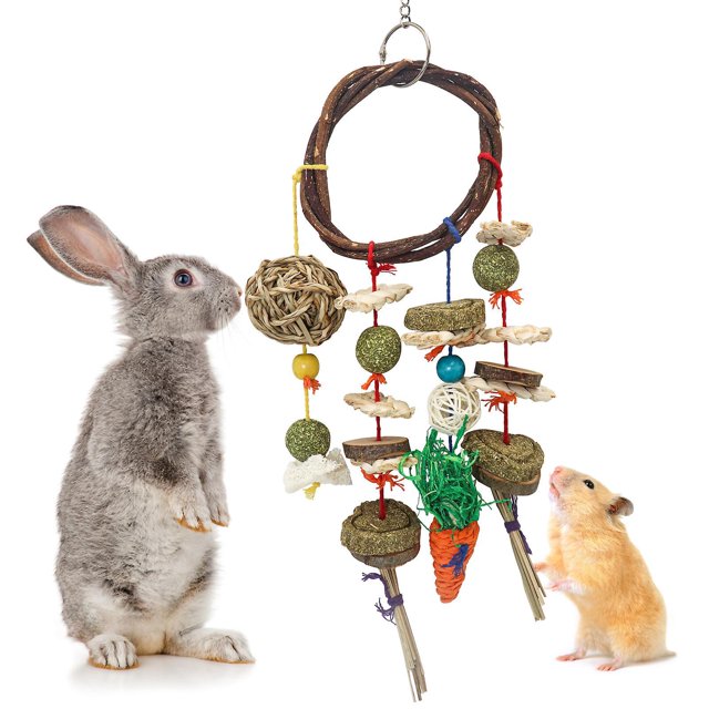 jouets Mcher Pour Lapin, Jouets Snacks Pour Petits Animaux, Jouets De Cochon D'inde, Soins Des Dents Pour Hamster Cochon D'inde Chinchilla Perroq