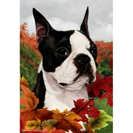 Boston Terrier - Best of Breed Fall Leaves Garden (Best Fall Foliage Drives From Boston)