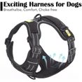 thumbnail image 2 of Arnes Para Perro Grande, Chaleco Ajustable + Correa Talla M, 2 of 5