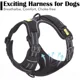 thumbnail image 2 of Arnes Para Perro Grande, Chaleco Ajustable + Correa Talla M, 2 of 5