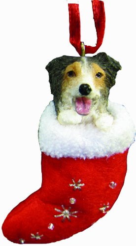 christmas australian shepherd