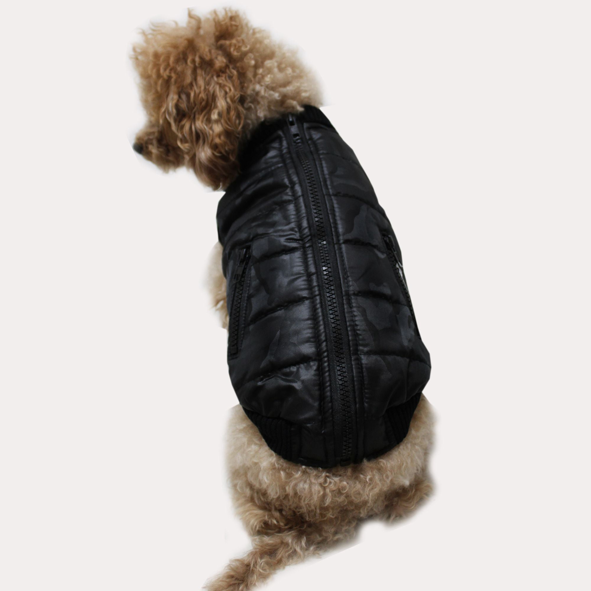 dog coats with zipper on back
