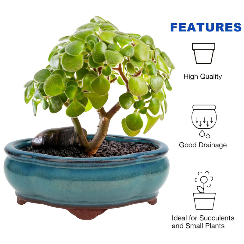 2 Pcs Yixing Garden Planter Pots Clay Pottery Flower Pots with Drainage Hole Small Succulent Nursery Pots Miniature Ceramic Plant Pots