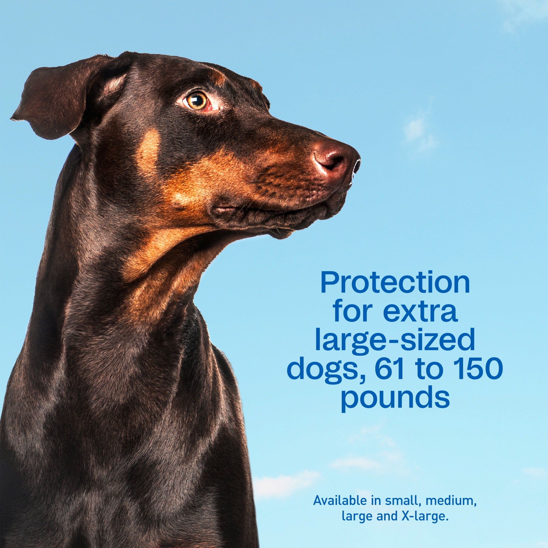 (3 pack) ADAMS Plus Flea & Tick Prevention Spot On for Dogs, Extra Large Dogs, Kills Fleas & Ticks (Brown Dog/Deer Ticks), Kills and Repels Mosquitoes, Prevents Flea Infestations, 3-Month Supply, 3 pack
