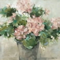 thumbnail image 3 of Robinson, Carol 20x20 Black Modern Framed Museum Art Print Titled - Potted Geranium, 3 of 5
