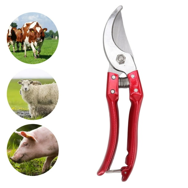 RECORDORAS DE PEZUNAS DE CABRA, LIVIANAS Y ERGONÍMICAS, TIJERAS Profesionales para Trotón de Vaca, Cerdo, Oveja, Herramient de Reparación de Corte de Umas de Punta de Punta de