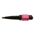 thumbnail image 5 of Eaton Tripp Lite Series 400G Multimode 50/125 OM4 Plenum Fiber Optic Cable, 16F MTP/MPO-APC to MTP/MPO-UPC (F/F), Magenta, 5 m - Network cable - MTP/MPO/APC multi-mode (F) to MTP/MPO/UPC multi-mode (F) - 5 m - fiber optic - 50 / 125 micron - OM4 - plenum - black, magenta, green, 5 of 5