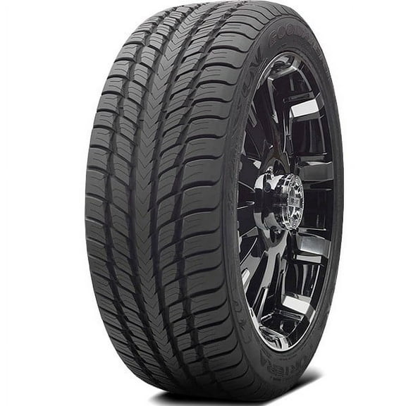 Goodyear Fortera SL All-Season 305/40R22 114H Tire