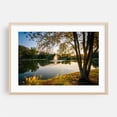 thumbnail image 2 of Roosevelt Wilson Park Reflections - North Carolina Photography Unframed Wall Art Print 20 x 30 inches, 2 of 7