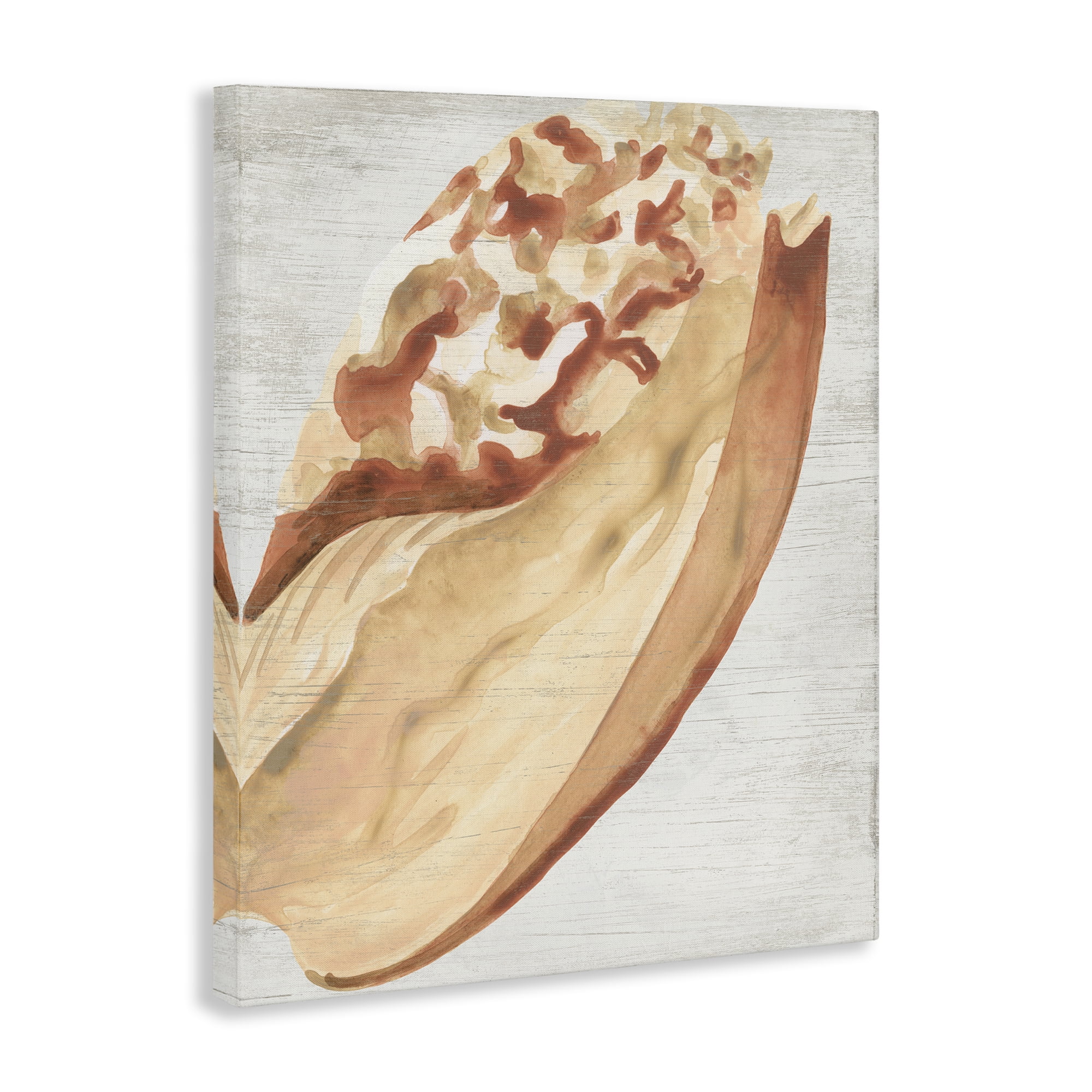 Stupell Industries Rustic Beige Shell Nautical & Beach Painting Wrapped Canvas Art Print Wall Art, 16 x 20