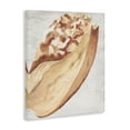 thumbnail image 3 of Stupell Industries Coastal Rustic Beige Shell Canvas Art, 16 x 20, by June Erica Vess, 3 of 8