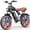 20inch-1000W-48V 15.6AH-, variant on Ridstar 1500W Electric Bike for Adults,33MPH 48V 20Ah Electric Bicycle ,20" Fat Tire Full Suspension Mountain Bike UL2849