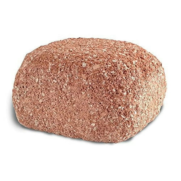 EcoBio-Block Water Clarifier for Fish Tank, Natural Fish Tank Rock Cleaner and Odor Remover, Medium