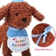 thumbnail image 2 of 1 Juego de sombrero de cumpleaños para perro, babero para gato, sombrero de cumpleaños para gato, traje de cumpleaños para perro, suministros de fiesta de cumpleaños para mascotas, 2 of 6