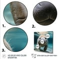 thumbnail image 3 of Designart "Manatee's Curious Gaze III" Animals Framed Wall Art Decor - Modern Blue Manatee Entryway Framed Wall Art, 3 of 6