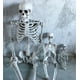 Squelette d'Halloween, squelette d'halloween Complet, Squelette avec Joints Mobiles pour Décoration d'Halloween – image 2 sur 5