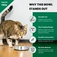 thumbnail image 6 of Iconic Pet Anti Ant Stainless Steel Non Skid Pet Bowl For Dog or Cat, 16 Oz, 2 Cup, 6 of 10